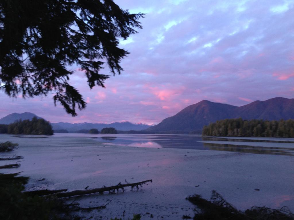 Black Bear Guesthouse Tofino Exterior foto